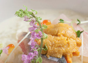 FireShot Capture 1349 - 枚方公園のインテリアがお洒落な人気店でお食事を - http___www.bistro-le-passage.com_about.html